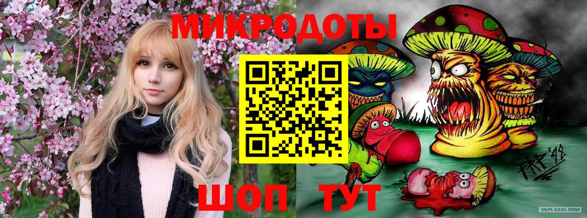 Галлюциногенные грибы Psilocybine cubensis  Вход с VPN  Псилоцибиновые грибы Cubensis  Элиста 